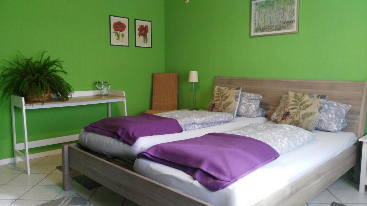 באכאראך Exklusive Ferienwohnung Lurelei 150 Qm Mit Traumblick 4 Bis 9 P מראה חיצוני תמונה